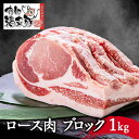 【ふるさと納税】南部福来豚ロース肉　ブロック1kg【配送不可地域：離島】【1500445】