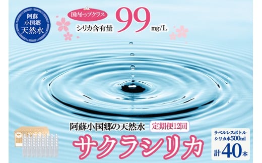 【桜屋】12回 定期便 シリカ天然水「サクラシリカ」500ml 40本 計480本 定期便 シリカ含有量99mg/L シリカ水 ラベルレス 水 ミネラルウォーター 飲料水 飲料 ペットボトル ナチュラルウォーター サルフェート 炭酸水素イオン ミネラル 国産 阿蘇 小国郷