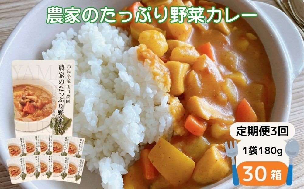 
                  定期便 ３ヶ月 農家のたっぷり野菜カレー ３０個 月１回 ／ 山口農園 有機野菜 オーガニック 伝統野菜 レトルト 詰め合わせ ギフト カレーセット スパイス 飯 キャンプお取り寄せ 奈良県 宇陀市 送料無料 おかず ご当地 簡単 お歳暮 暑中見舞い 時短 保存食 ふるさと納税
                