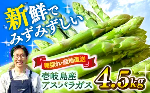 【アスパラガス専門農家が作る！】壱岐産アスパラガス4.5kg≪壱岐市≫【きたじま農園】 国産 冷蔵配送 産地直送 朝採れ 新鮮 [JGI001]