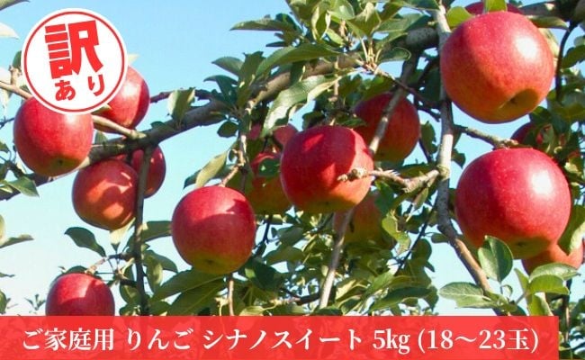 
            ＜ 先行予約 ＞ りんご 【 ご家庭用 訳あり 】 シナノスイート 5kg 【2025年10月上旬～発送】 山形県 朝日町産 農家直送 山形県産 特産 果物 フルーツ リンゴ 林檎 秋
          