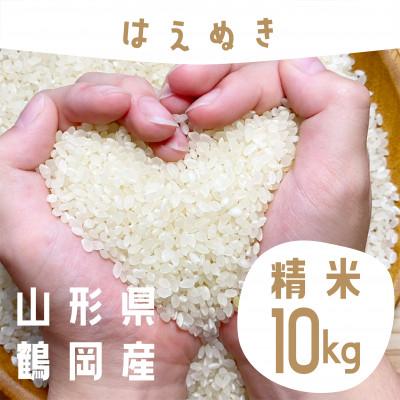 ふるさと納税 鶴岡市 【令和7年産】山形県庄内産 小池半左衛門のお米　はえぬき 精米 5kg×2袋 計10kg