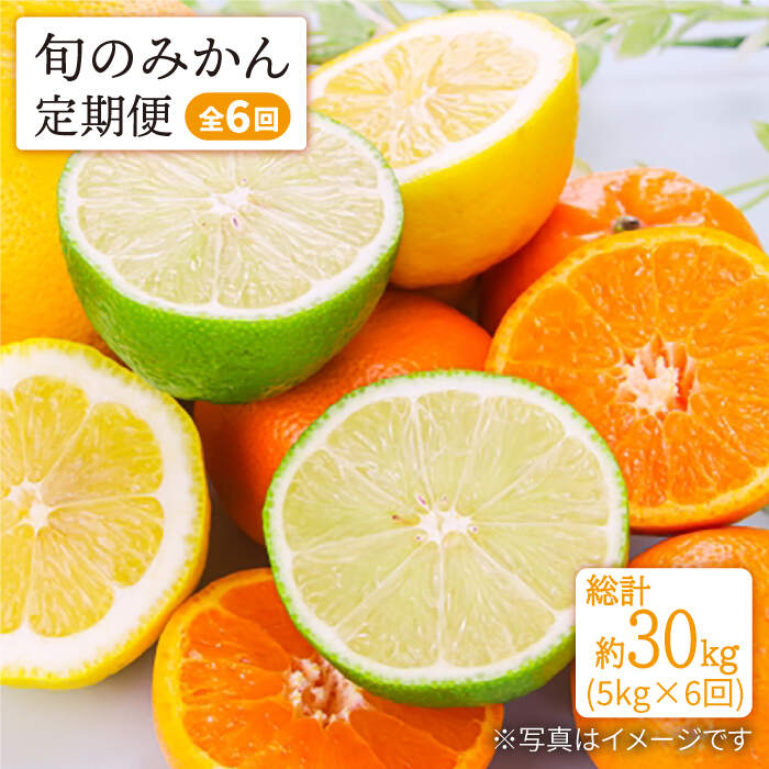 【ふるさと納税】【11月から毎月届く♪6回定期便】【数量限定】旬のみかん定期便＜中尾果樹園＞ [CEL005] みかん 蜜柑 ミカン 西海みかん 温州みかん 果物 フルーツ 贈答 ギフト プレゼント 甘い ジューシー