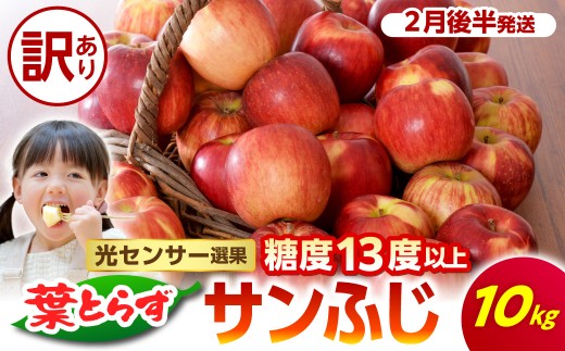 【2027年2月後半発送】【訳あり】 りんご 約10kg サンふじ 葉とらず 青森