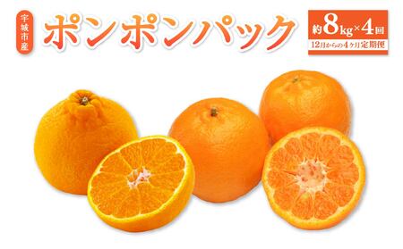 先行予約【12月からの4ヶ月定期便】ポンポンパック 定期便 不知火 ぽんかん ひでみかん