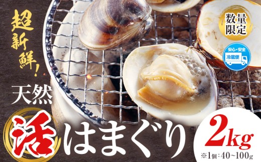 数量限定 天然 活 はまぐり 2kg 1個:40g～100g 寺田水産 《30日以内に出荷予定(土日祝除く)》千葉県 勝浦市 海産 貝 はまぐり【配送不可地域：離島・北海道・沖縄県・東北・中国・四国・九州】