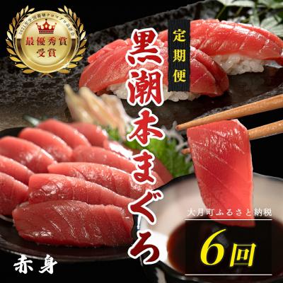 ふるさと納税 大月町 訳あり 不定貫 国産 黒潮本まぐろ 赤身 定期便 120g×6回 |  | 01