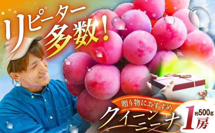 【2026年先行予約】【20個限定】【贈答用】リピーターが続出中！クイーンニーナ 1房（約500g）秀品・化粧箱入り 島根県雲南市/ギアファーム [AIAB005]