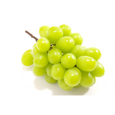 旬なぶどう おまかせ 食べ比べ 700g × 5房 ＜2026年8月より順次発送＞ (県内共通返礼品:かすみがうら市産) シャインマスカット 巨峰 ピオーネ ゴルビー クインニーナ 我が道 先行予約 