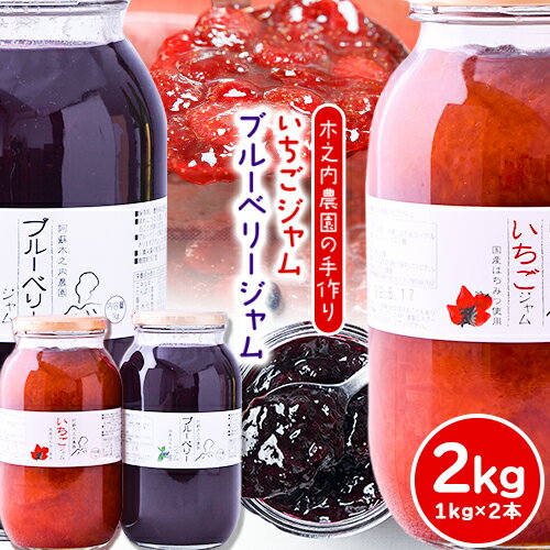 【ふるさと納税】果実ぎっしり！木之内農園の手作りいちごジャムとブルーベリージャム　2kg（1kg×2本）《30日以内に出荷予定(土日祝を除く)》 熊本県南阿蘇村 イチゴ 苺 減農薬 大粒 ブルーベリー 乗せるジャム