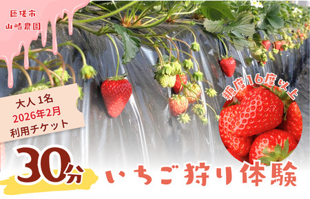 山崎農園いちご狩り　1名分チケット（2026年2月実施分） ／ いちご 苺 イチゴ ストロベリー いちご狩り イチゴ狩り 苺狩り フルーツ狩り 体験 チケット とちおとめ 紅ほっぺ 果物 フルーツ