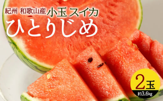 G7077_【2026年先行予約】紀州 和歌山産 小玉 スイカ 「ひとりじめ」 2玉