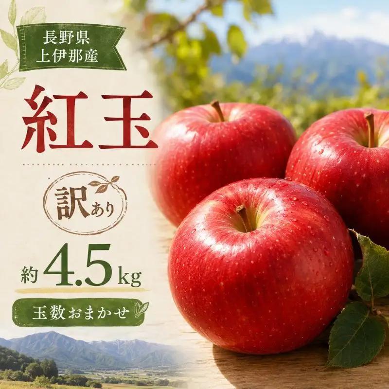 りんご 訳あり 紅玉 4.5kg りんご 