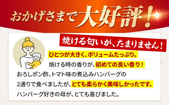 佐賀牛 A5 ハンバーグ 140g×5個 佐賀牛 ハンバーグ 冷凍 国産 A5 牛肉 黒毛和牛 佐賀 和牛 ハンバーグ