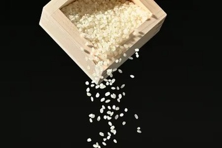 【令和7年産】水車の里　瑞穂蔵　那須町産コシヒカリ　5kg（5kg×1袋)）〔P-408〕 ※沖縄・離島への配送不可
