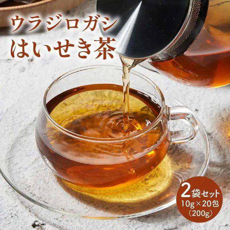 ウラジロガシ はいせき茶　2袋セット