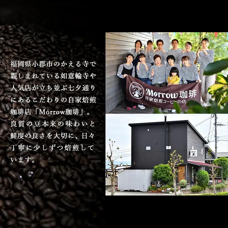 定期便 6ヶ月 自家焙煎 ゲイシャ (粉) 200g×2 ポスト投函 コーヒー 珈琲 6回 お楽しみ Morrow珈琲