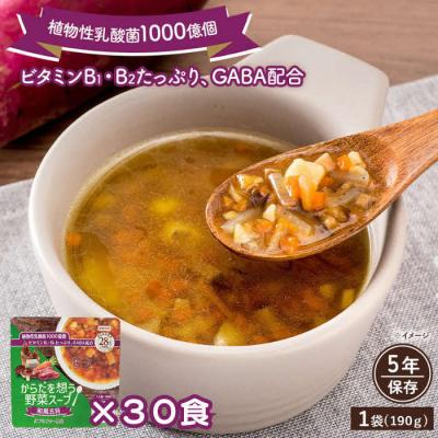 ふるさと納税 出雲市 【からだを想う野菜スープ】和風五目30食セット/レトルト/食物アレルギー対応/長期保存/防災食