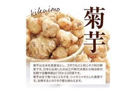 菊芋セット つるぎ菊芋栽培加工研究会
