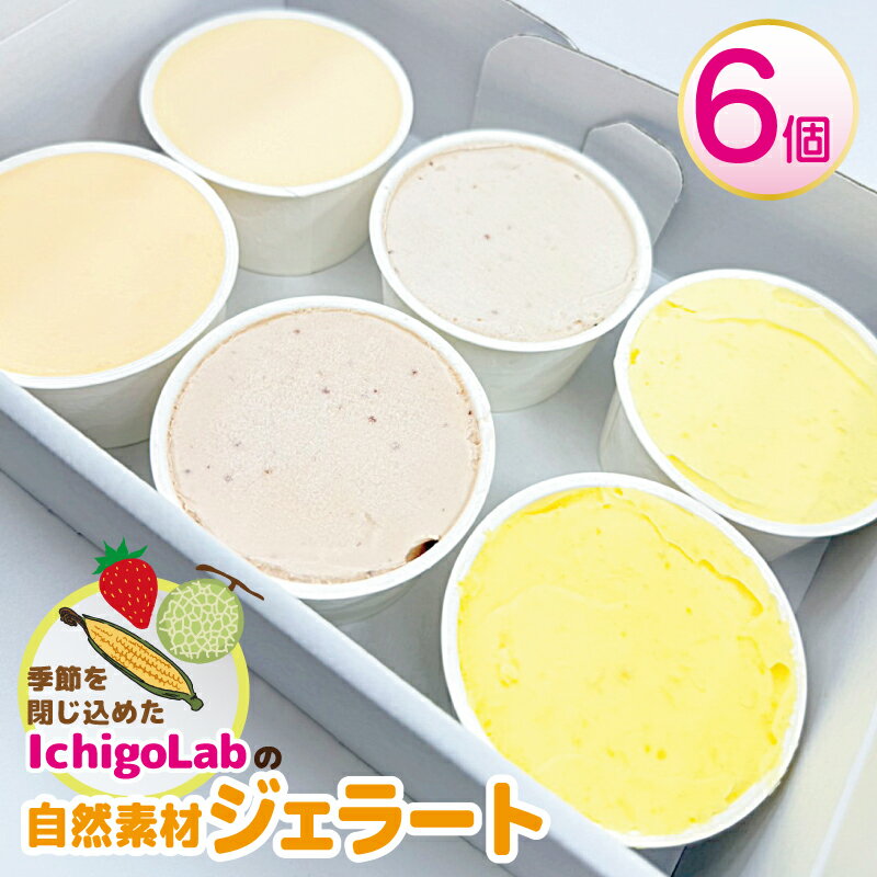 【ふるさと納税】自然素材 ジェラート 3種 × 2個 計6個 食べ比べ アイス スイーツ 季節のじぇらーと いちご メロン トウモロコシ IchigoLab 香料不使用 保存料不使用 着色料不使用 サトウキビ由来 キビ糖 デザート お菓子 お取り寄せスイーツ 冷凍 大阪府 泉佐野市 送料無料