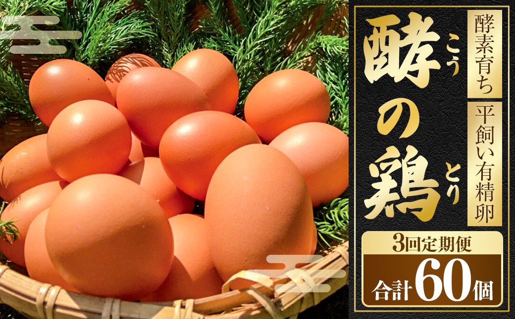 
            【3ヶ月定期便】iTo farm 酵の鶏 20個×3ヶ月お届け  鶏の卵 たまご 卵 玉子 タマゴ 鶏卵 オムレツ 卵かけご飯 朝食 料理 たまご焼き 福岡県 うきは市
          