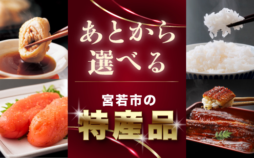 あとから選べる宮若市の特産品 100万円 M777-100