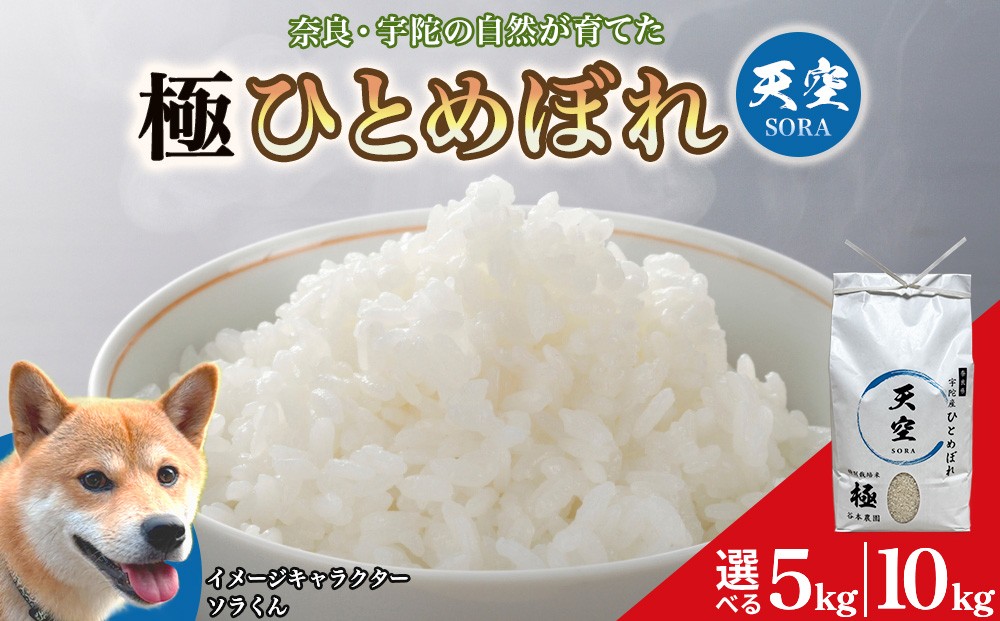 
                  令和8年産 宇陀の自然が育てた 天空【sora】極 ひとめぼれ  5kg・10kg ｜特別栽培米・奈良県宇陀産 白米／ 令和8年 ひとめぼれ 米 こめ お米 お取り寄せ 美味しい オススメ 精米済 新米 白米 奈良 宇陀
                