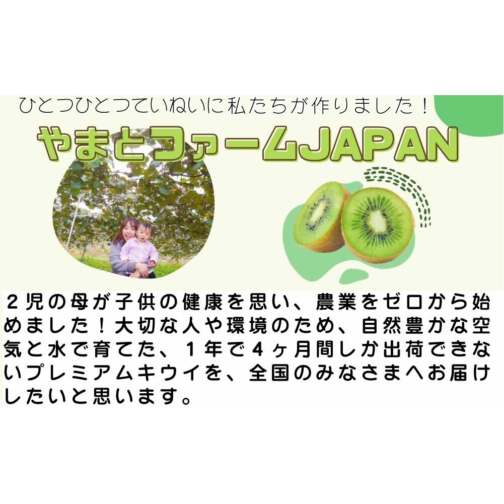 ＜12月〜3月発送＞プレミアム キウイ フルーツ Mサイズ 17個入 追熟処理済 ／ ふるさと納税 キウイ キウイフルーツ ギフト 栄養 果物 お土産 化学肥料不使用 特別栽培 塩 奈良県 宇陀市 や