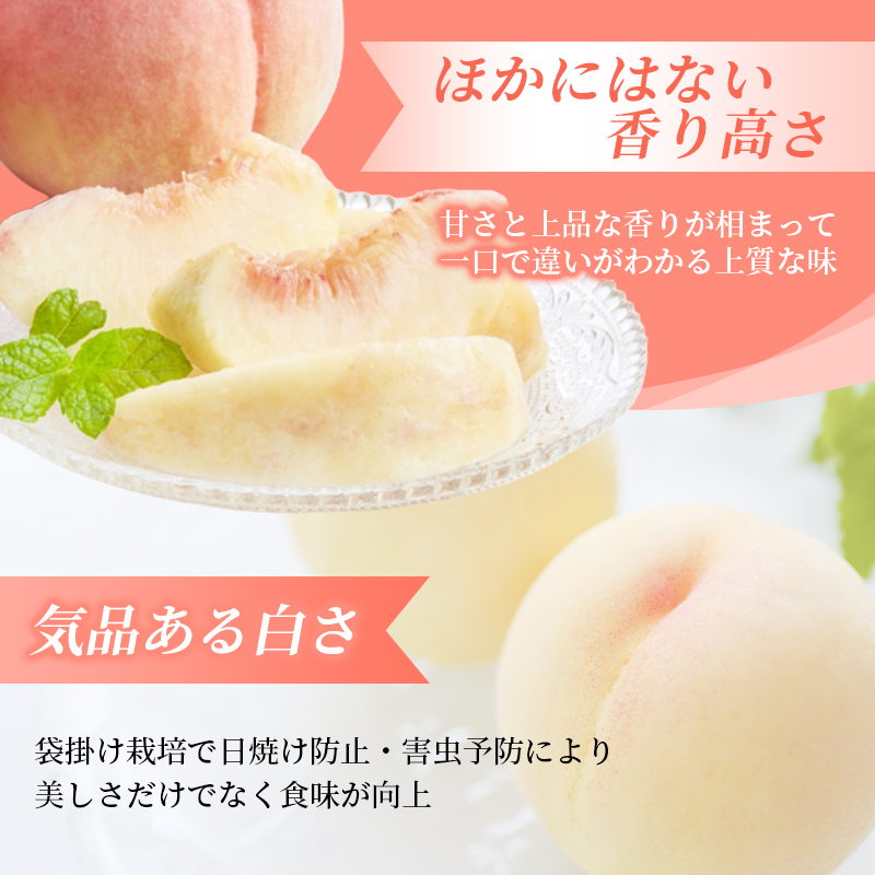 【2027年先行予約】 岡山県産 白皇 2kg 訳アリ 白桃 はくおう 花田青果【8月中旬～9月初旬まで順次発送予定】/ 桃 もも モモ 果物フルーツ 訳あり品 岡山県【hnds007-01】