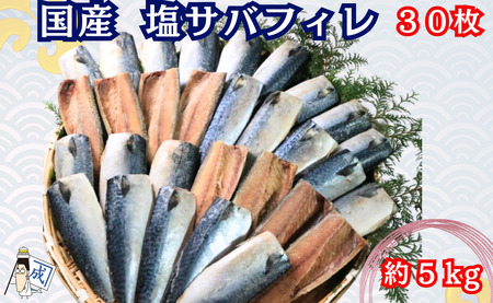 国産 塩サバ フィレ 30枚 約5kg 鯖 鯖 鯖 鯖 鯖 鯖 鯖 大成