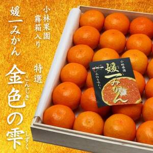 桐箱入り 媛一小玉みかん 金色の雫(こんじきのしずく)24個入り箱×二段重ね【D24-6】【1517951】