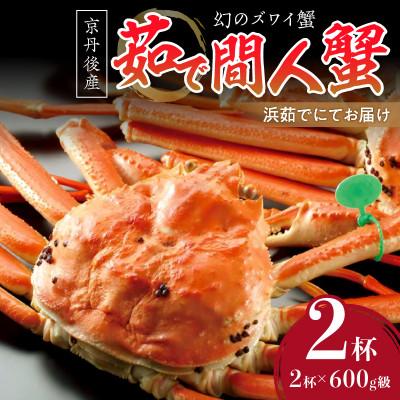 ふるさと納税 京丹後市 【幻のズワイ蟹】京丹後産 茹で間人(たいざ)蟹&lt;中&gt; 鮮度抜群、釜茹でにてお届け!600g級×2杯