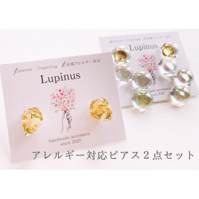 ふるさと納税 小山市 アレルギー対応ピアス 2点セット「しゃぼん玉オーロラピアス・かすみ草の鉱石風ピアス」