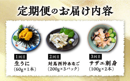 【全3回定期便】対馬産 海の幸定期便 《対馬市》【保家商事】 ウニ うに 穴子 アナゴ サザエ 刺身 海鮮[WAA013] うに ウニ 雲丹 アナゴ 穴子 サザエ さざえ 刺身 刺し身 海鮮 海産物 
