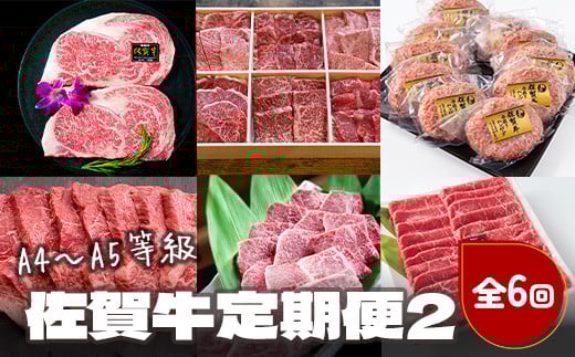 
            【定期便セット】佐賀牛定期便2 サーロイン600g・6種盛360g・佐賀牛合挽ﾊﾝﾊﾞｰｸﾞ140g×10個・ミニヒレステーキ300g・焼肉セット500g(希少部位イチボ・トモ三角500g)・モモスライス800g
          