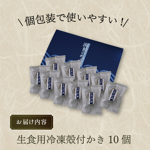 岩手県赤崎産 豊穣かき（生食用冷凍牡蠣） 10個 個包装 【かき カキ 三陸産牡蠣 国産 海鮮 バーベキュー 赤崎産牡蠣 冷凍 殻付き牡蠣 濃厚 新鮮な牡蠣 かき 牡蠣 鍋 冷凍 簡単調理 アヒージョ