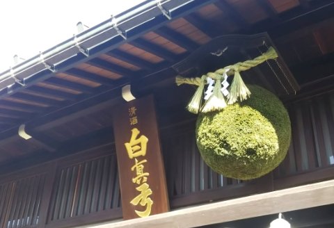 日本酒ライフに彩りを！杉玉直径30㎝。自宅やお店のインテリアに【67-1】