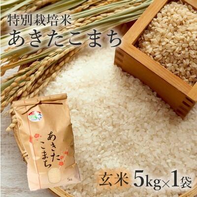 ふるさと納税 能代市 令和7年産 玄米 あきたこまち 5kg  特別栽培米[No.5335-0354]