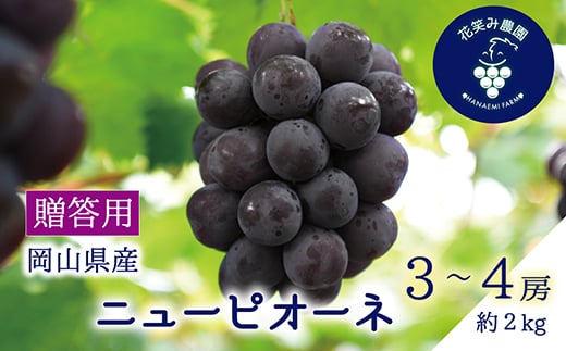 
                  岡山　花笑み農園の『ニューピオーネ』贈答用　約2kg (3～4房) P-2上【1650734】
                