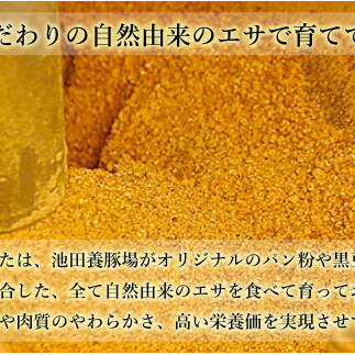 【6回定期便 豚肉6種セット】 ありたぶた バラエティAセット (豚肉6種) 6回 定期便 小分け 真空パック 豚肉 ロース バラ ウインナー ソーセージ ハンバーグ N80-1_イメージ4