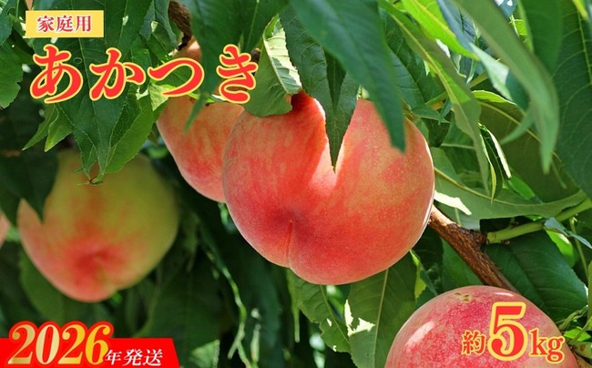 
            No.2155福島のもも　家庭用あかつき　約5kg【2026年発送　先行予約】
          
