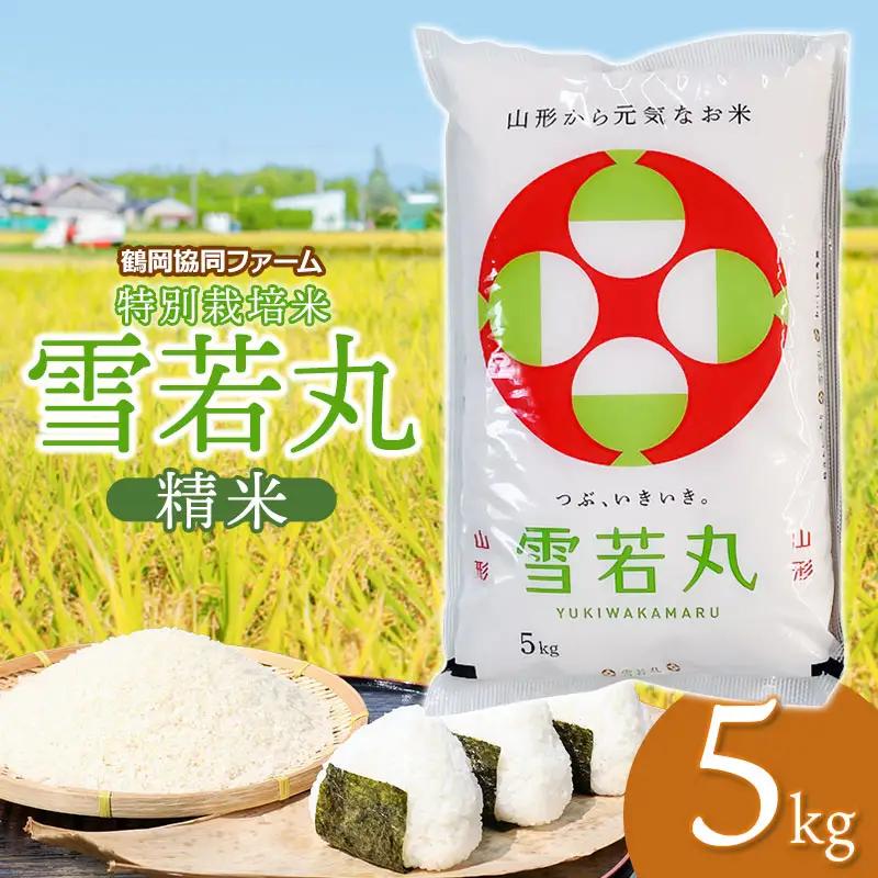 【令和7年産】 特別栽培米雪若丸 5kg (5kg×1袋) 山形県鶴岡産　鶴岡協同ファーム