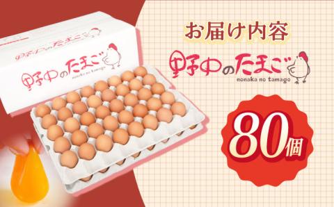 産みたて新鮮卵 野中のたまご  80個【野中鶏卵】 [OAC002] /卵 たまご 高級卵 卵焼き 卵かけご飯 たまご 濃厚たまご タマゴ