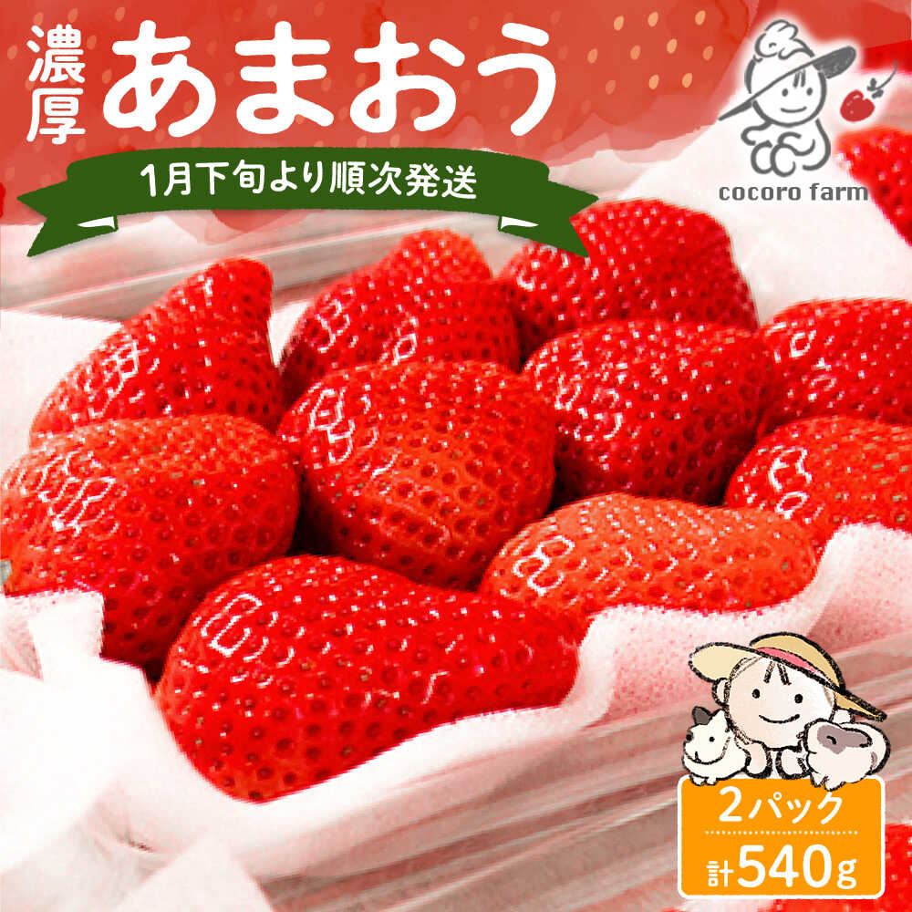 【ふるさと納税】★4.57【先行予約】あまおう 540g (270g×2パック) ココロファームの濃厚あまおう【2027年1月下旬〜3月下旬発送】《豊前市》【ココロファーム】[VAE007] 苺 いちご イチゴ あまおう ストロベリー 果物 フルーツ 人気 旬 福岡県産 ギフト 贈答 産地直送