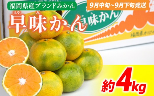 
                  期間限定 みかん 福岡県産ブランド 「早味かん」 約4kg フルーツ 返礼品 お取り寄せグルメ お取り寄せ グルメ 果物 南国フルーツ CO017
                