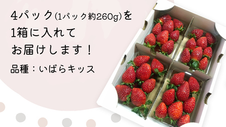 【 先行予約 】 茨城県品種 いばら キッス ( 4パック×1箱 )【 2025年1月から発送開始 】 ( 茨城県共通返礼品 : 常陸太田市 ) 約 260g × 4 パック いばらキッス いばらきっ