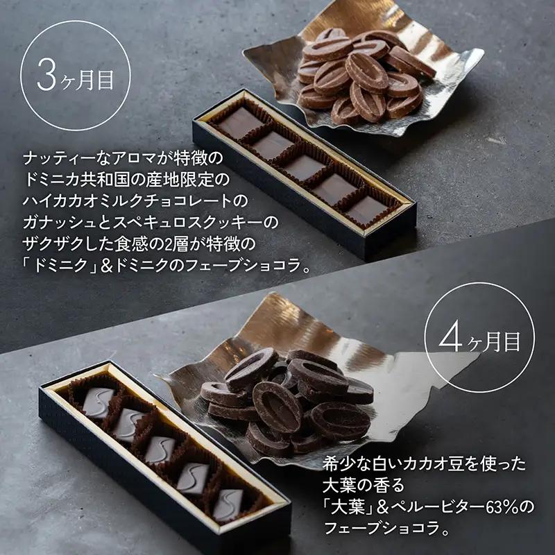 【定期便/6回】ボンボンショコラ5個&フェーブ80g（コイン状チョコレート）／NICOchocolaterie チョコレート チョコレート専門店 ボンボンショコラ スイーツ お菓子 贈答用 ギフト お