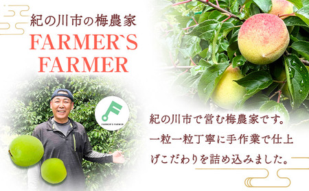 梅 紀州南高梅 1kg FARMER'S FARMER《6月上旬-7月中旬頃出荷》和歌山県 紀の川市 うめ 南高梅 青梅 紀の川市産