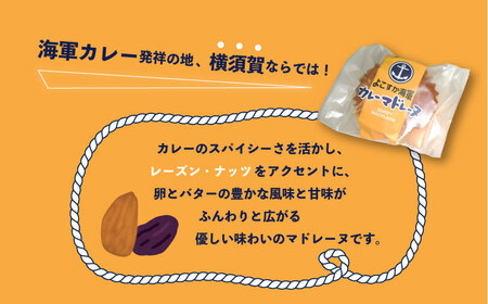 よこすか海軍カレーマドレーヌ 15個入り 【菓子工房モリ】 [AKBJ003]