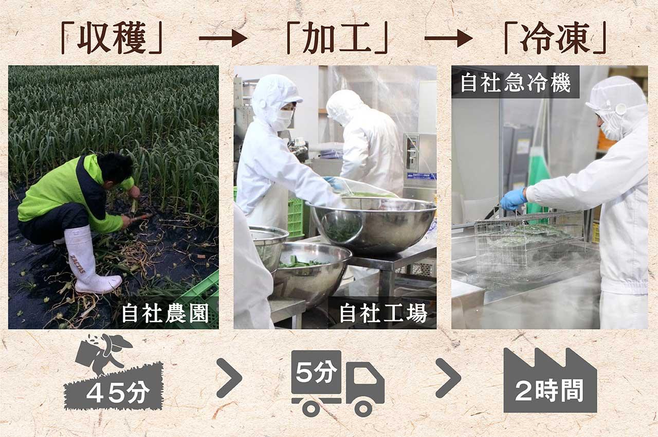 【高知家のうまいもの大賞グランプリ受賞】 かつお に合う 葉にんにく ぬた 3袋×3個 調味料 小分け 鰹  かつおのたたき 藁焼き わらやき 鮮魚 スパゲッティ パスタ 麺 イタリアン ジュノベーゼ